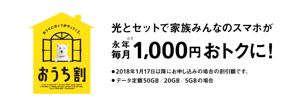 おうち割り光セット