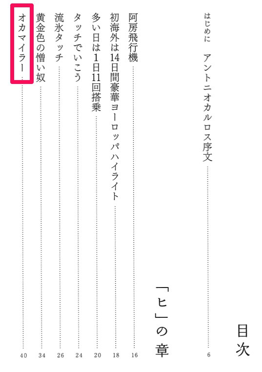 パラダイス山元の飛行機の乗り方