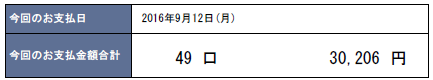 2016年9月支払い：30,206円